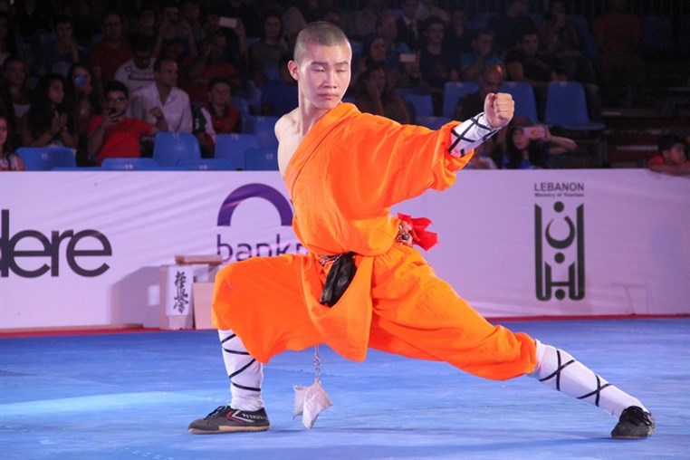 Martial Arts Festival